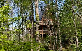 Luxe Retreat - May Dates! - Easy Drive - Xl Swim Spa - Award Winning!